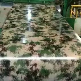 A decoração CGCH que imprime a cor de PPGI revestiu folhas 800mm