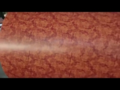 A cor de RAL prepainted a cor de aço galvanizada do ppgi da bobina revestiu bobinas de aço galvanizadas